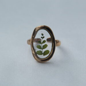 Anillo Fento