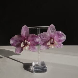 Pendientes Orquídea Grande