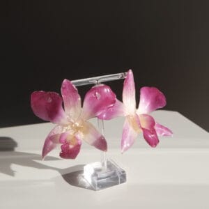 Pendientes Orquídea Dendrobium