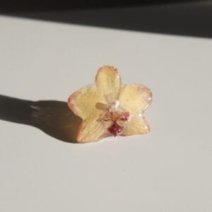 Anillo Orquídea Grande