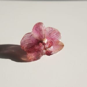 Anillo Orquídea Mediana