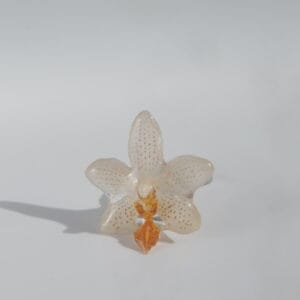 Anillo Orquídea Mini