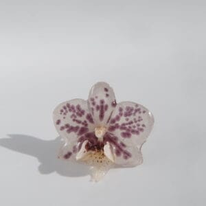 Anillo Orquídea mini