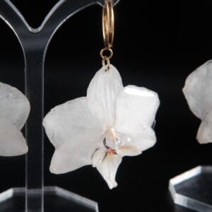 Pack Orquídea Blanca - Collar y Pendientes